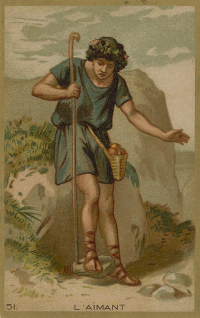 La calamita da European School
